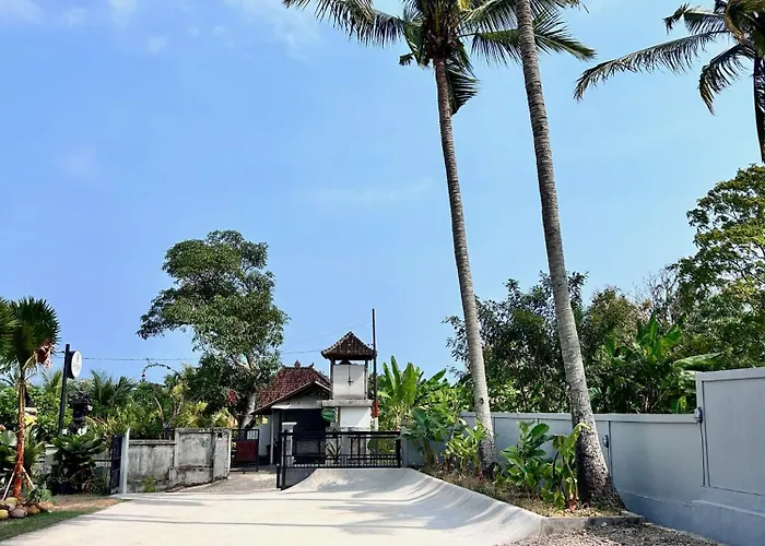 Sanava 3*